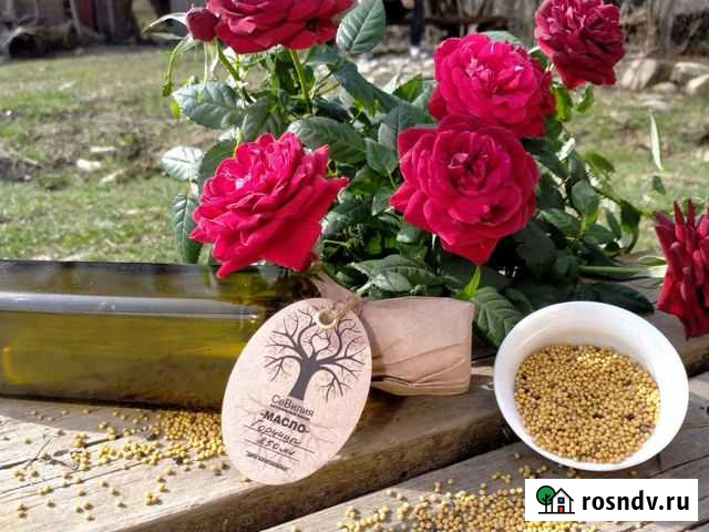 Масло горчицы горчичное сыродавленное Сочи - изображение 1