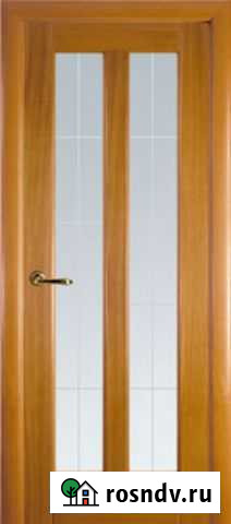 Дверь двухстворчатая Санкт-Петербург - изображение 1