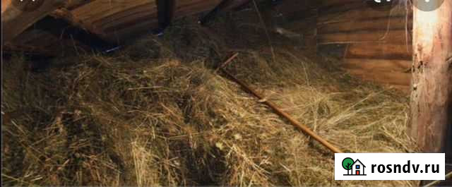 Сено Красносельский - изображение 1