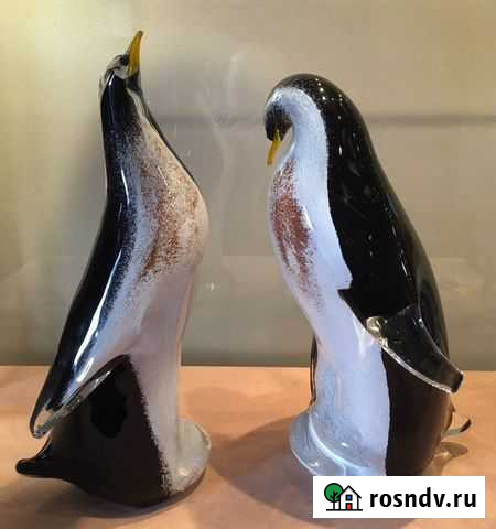 Голубь Магнитогорск - изображение 1