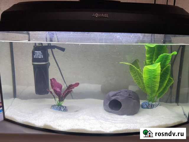 Аквариум с украшениями и песком 50 литров Благовещенск - изображение 1