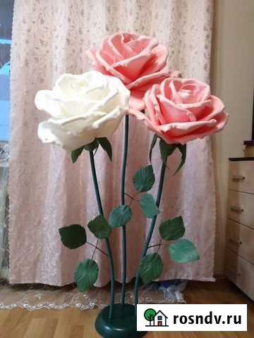 Ростовые цветы для декора Петрозаводск - изображение 1