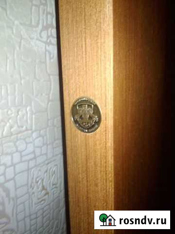 Полотно дверное глухое орех Волгоград - изображение 1
