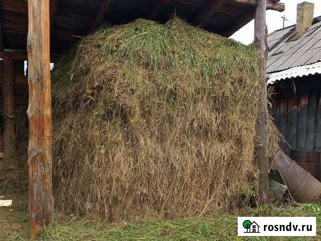 Продам сено Усолье-Сибирское - изображение 1