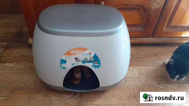 Домик для животных и др Калининград - изображение 1