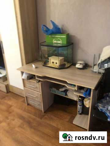 Хомяки Усолье-Сибирское - изображение 1