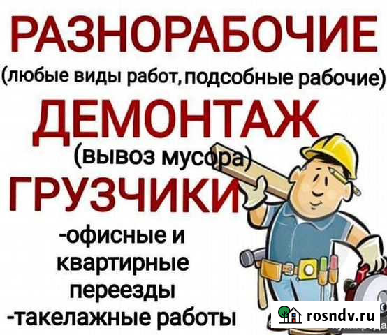 Разнорабочие Всеволожск - изображение 1