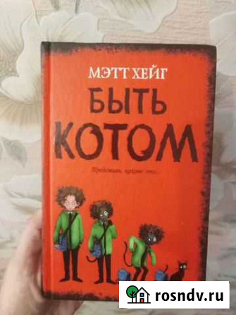 Быть котом Калуга - изображение 1