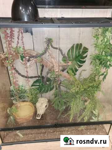 Огромный террариум для рептилий 90*50*90 Железнодорожный - изображение 1