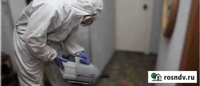 Уничтожение клопов, тараканов, мышей Салават - изображение 1