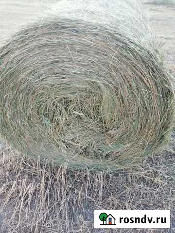 Сено в рулонах Глубокий - изображение 1