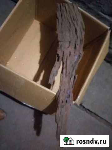 Аквариумные атрибуты и книги Новосибирск - изображение 1