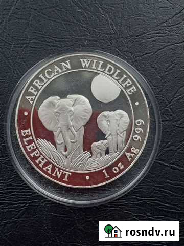 Монета серебряная Абакан - изображение 1