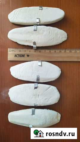 Сепия, ракушка, живой мох и спагмосс Воронеж - изображение 1