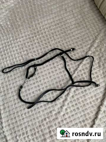 Шлейка для кошки Томск - изображение 1