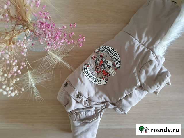 Зимний комбинезон для собаки Химки - изображение 1