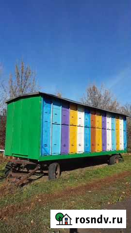 Прицеп пчеловоз Жердевка - изображение 1