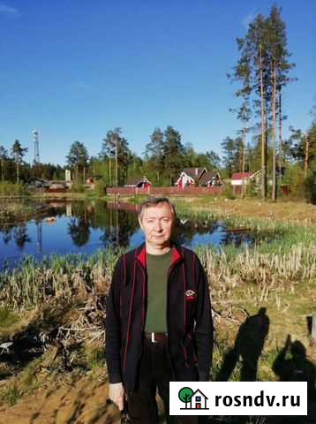 Услуги бани для здоровья требуются в Сосново Сосново - изображение 1