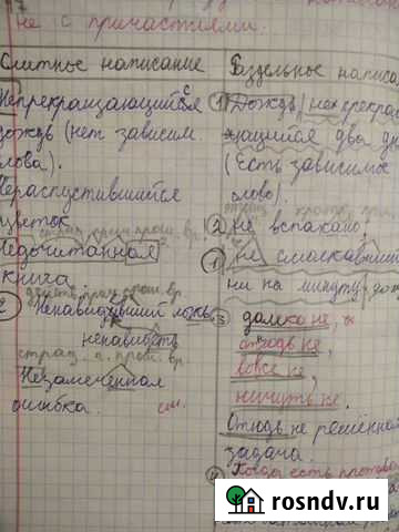 Репетитор по русскому языку Сердобск - изображение 1