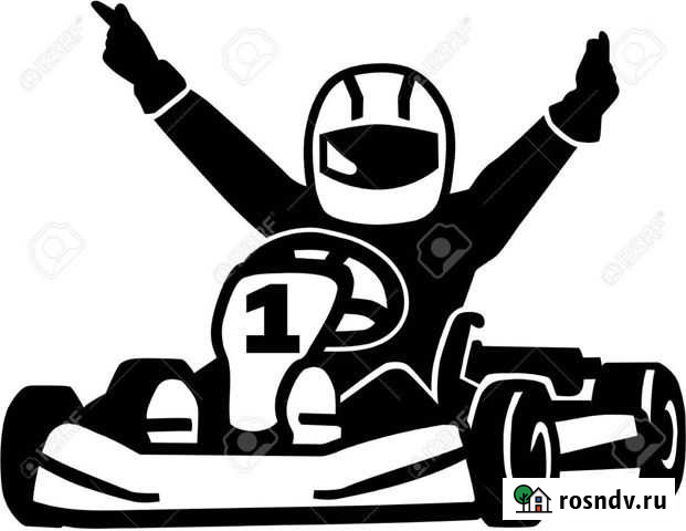 Обучение на картинге Калининград - изображение 1