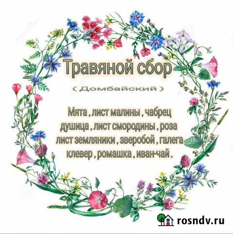 Травяной чай Теберда - изображение 1