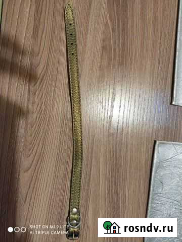 Ошейник для маленькой собаки Пермь - изображение 1