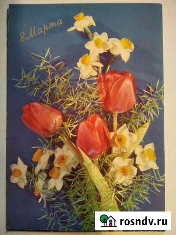 Открытки СССР Биробиджан - изображение 1