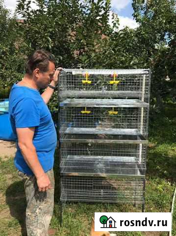 Клетка для перепелов на заказ Светлый - изображение 1