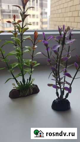 Растение искусственное, коряга Воронеж - изображение 1