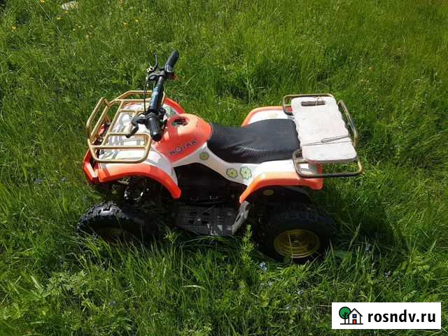 Детский квадроцикл Карачев - изображение 1