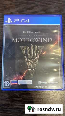 The elder scrolls Воронеж - изображение 1