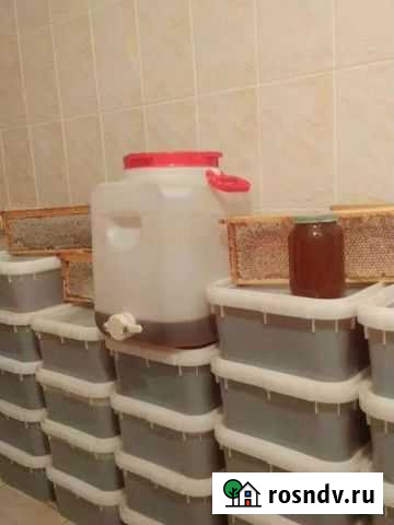 Мед с доставкой Кострома - изображение 1