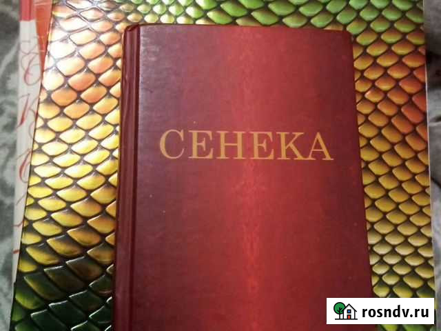 Сенека. Подарочное издание Развилка - изображение 1