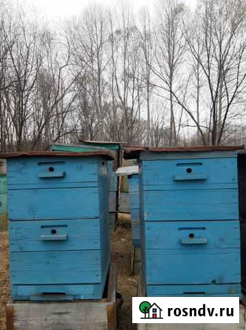 Ульи для пчел Хабаровск - изображение 1