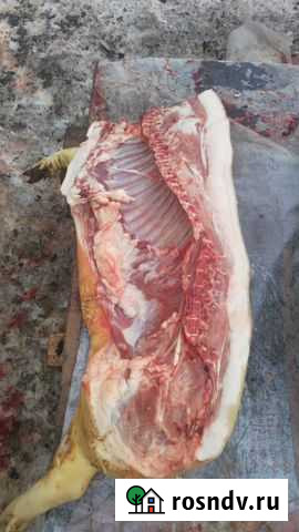 Свинина домашняя парная Сухиничи - изображение 1