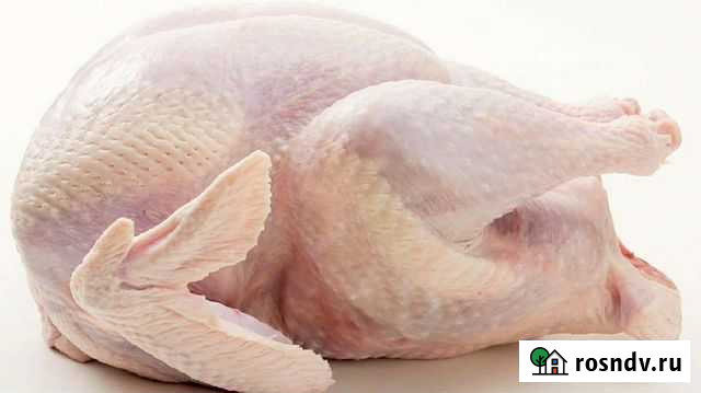 Мясо домашней индейки Старощербиновская - изображение 1
