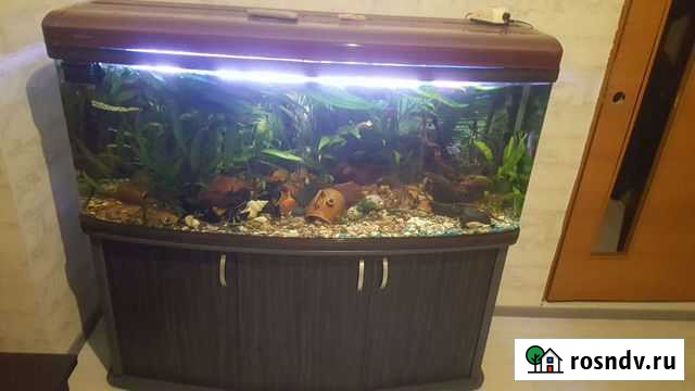 Аквариум 500л Краснодар - изображение 1