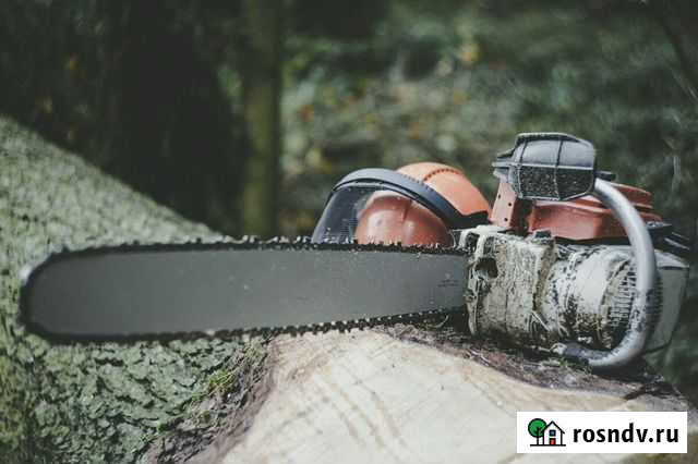 Спил деревьев, очистка территории, покос травы Семикаракорск - изображение 1