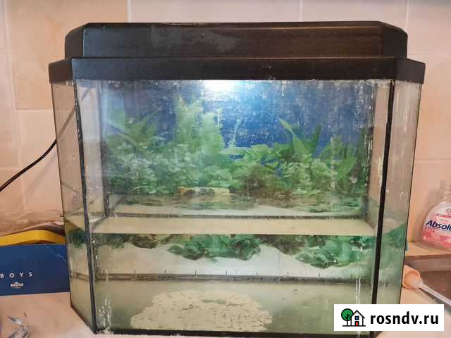 Аквариум Ульяновск - изображение 1