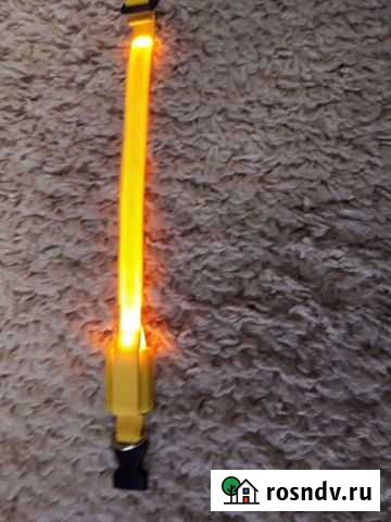 Ошейник новый светящийся Абакан - изображение 1