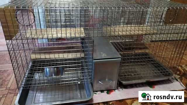 Клетка Мариинск - изображение 1