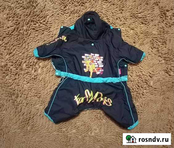 Одежда для собак Междуреченск - изображение 1