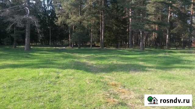 Участок ИЖС 12 сот. на продажу в Шумячах Шумячи - изображение 1