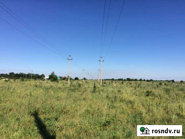 Участок СНТ, ДНП 200 сот. на продажу в Троицкой Краснодарского края Троицкая - изображение 1