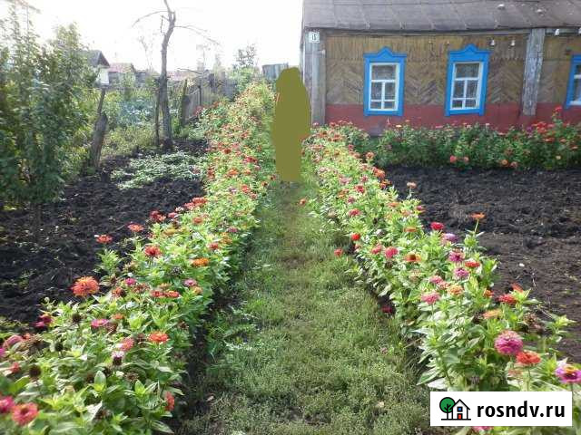 Дом 28 м² на участке 6 сот. на продажу в Беково Беково - изображение 1