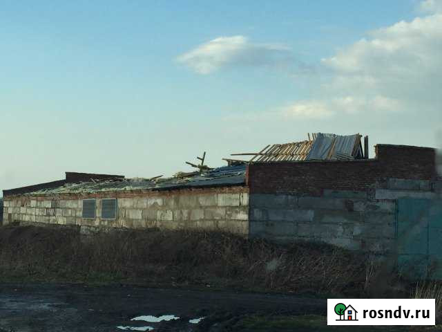 Овощехранилище, 800 кв.м. Сухиничи - изображение 1