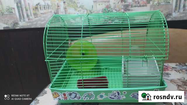 Клетка для грызунов Марковский - изображение 1