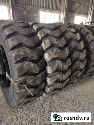 Шины 23.5-25 для фронтального погрузчика Большой Исток - изображение 1