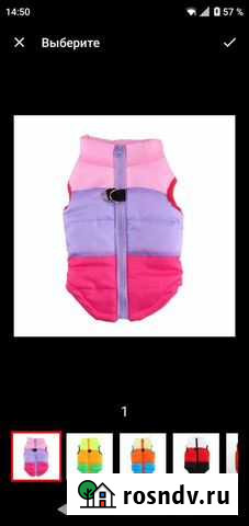 Желет для маленькой собачки Смоленск - изображение 1