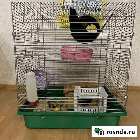 Клетка для грызунов большая Курск - изображение 1